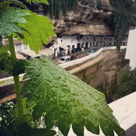 Сasa de vacaciones Casa Bajo La Roca